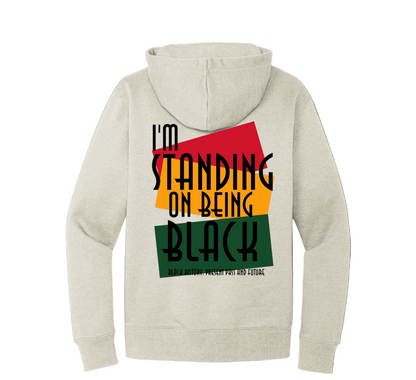 Black History 12oz Premium Quality Hoodie 365 – Afrocentric Streetwear